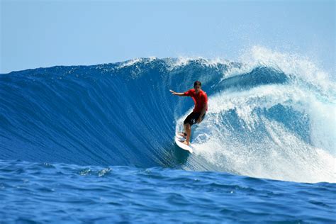 From Beginner to Expert: Conquering the Waves on a Tangerine Shell